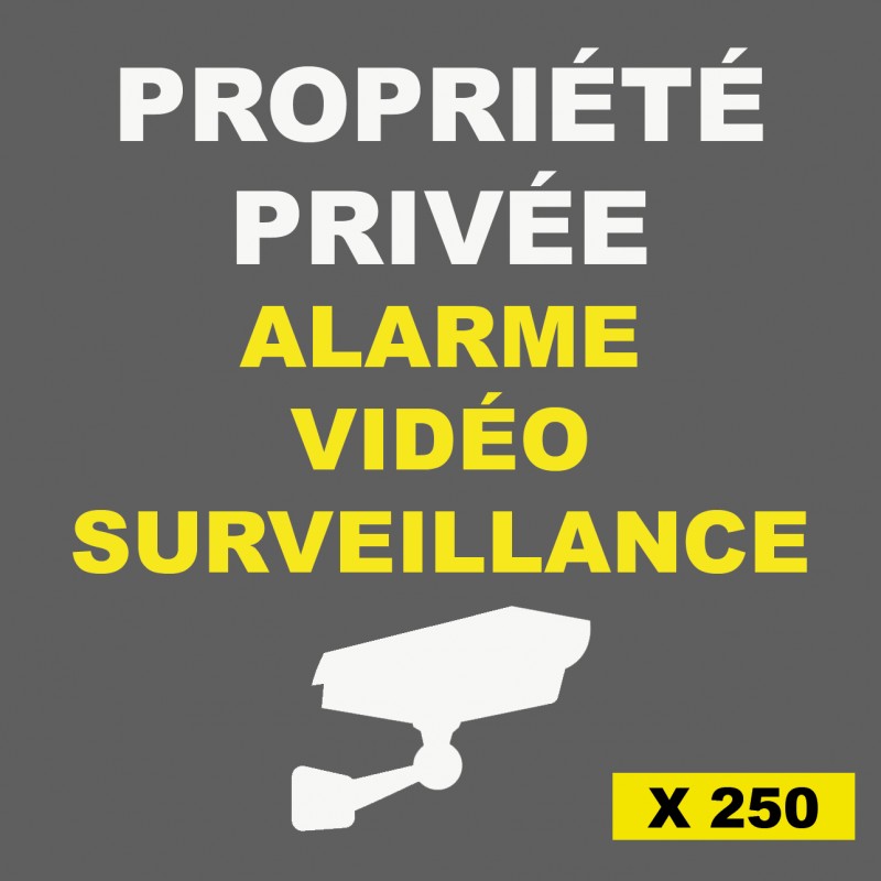 Autocollant propriété sous vidéo surveillance alarme logo n°8